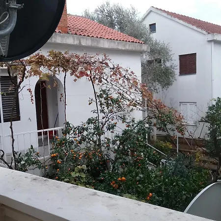 Elena * Podgorica